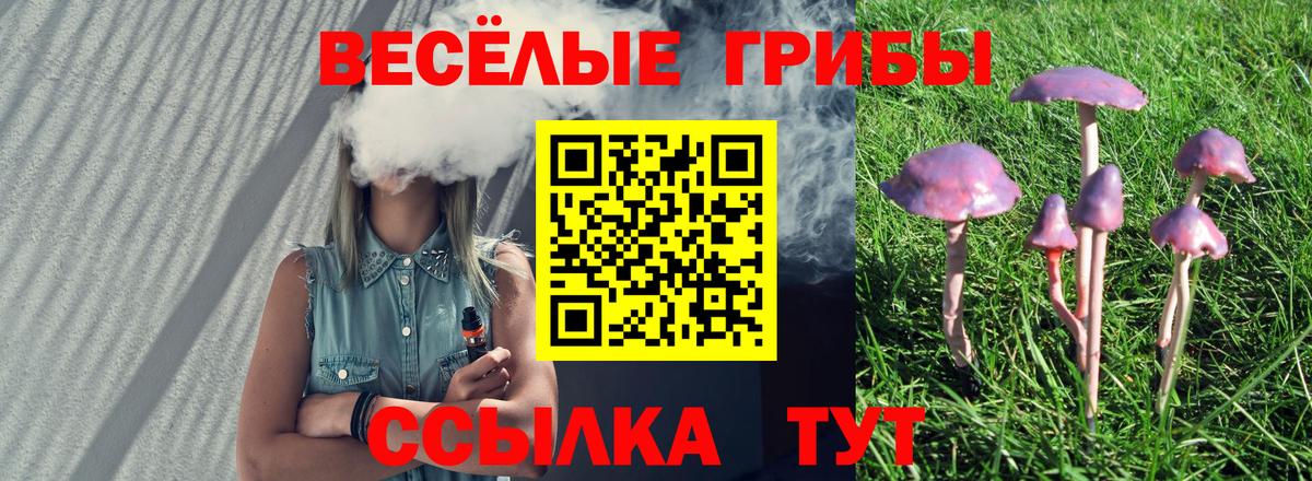 Псилоцибиновые грибы GOLDEN TEACHER  где купить наркоту  Павловский Посад  Вход с VPN 